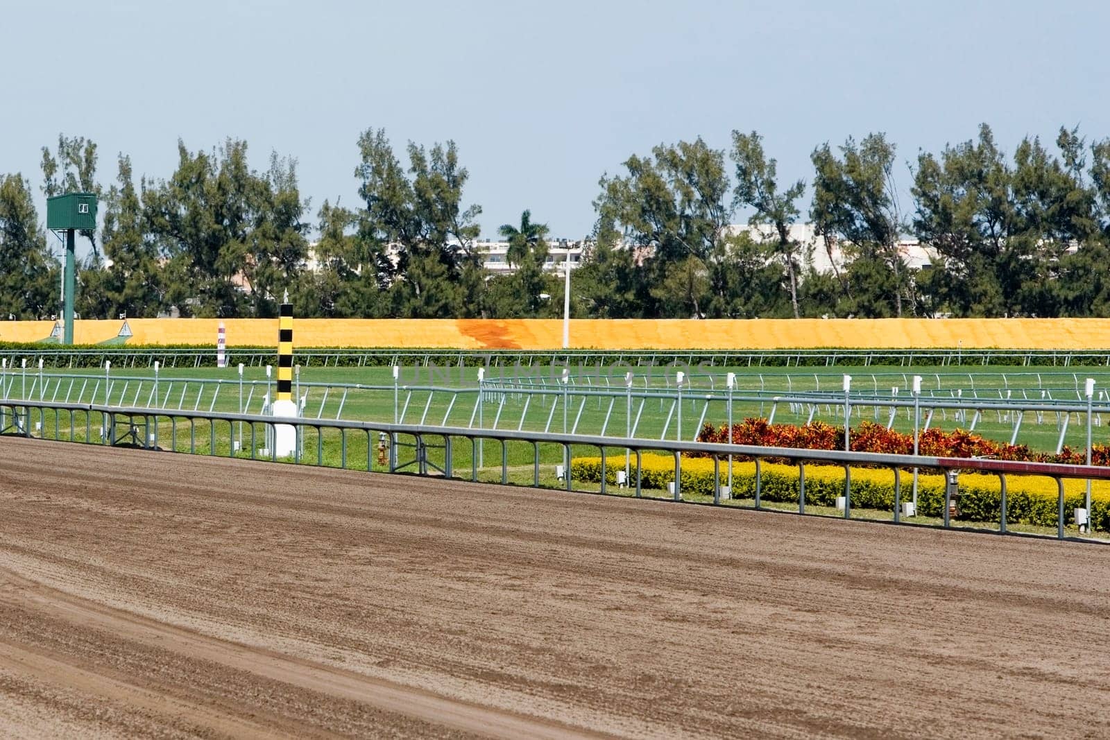 Railing along a horseracing track