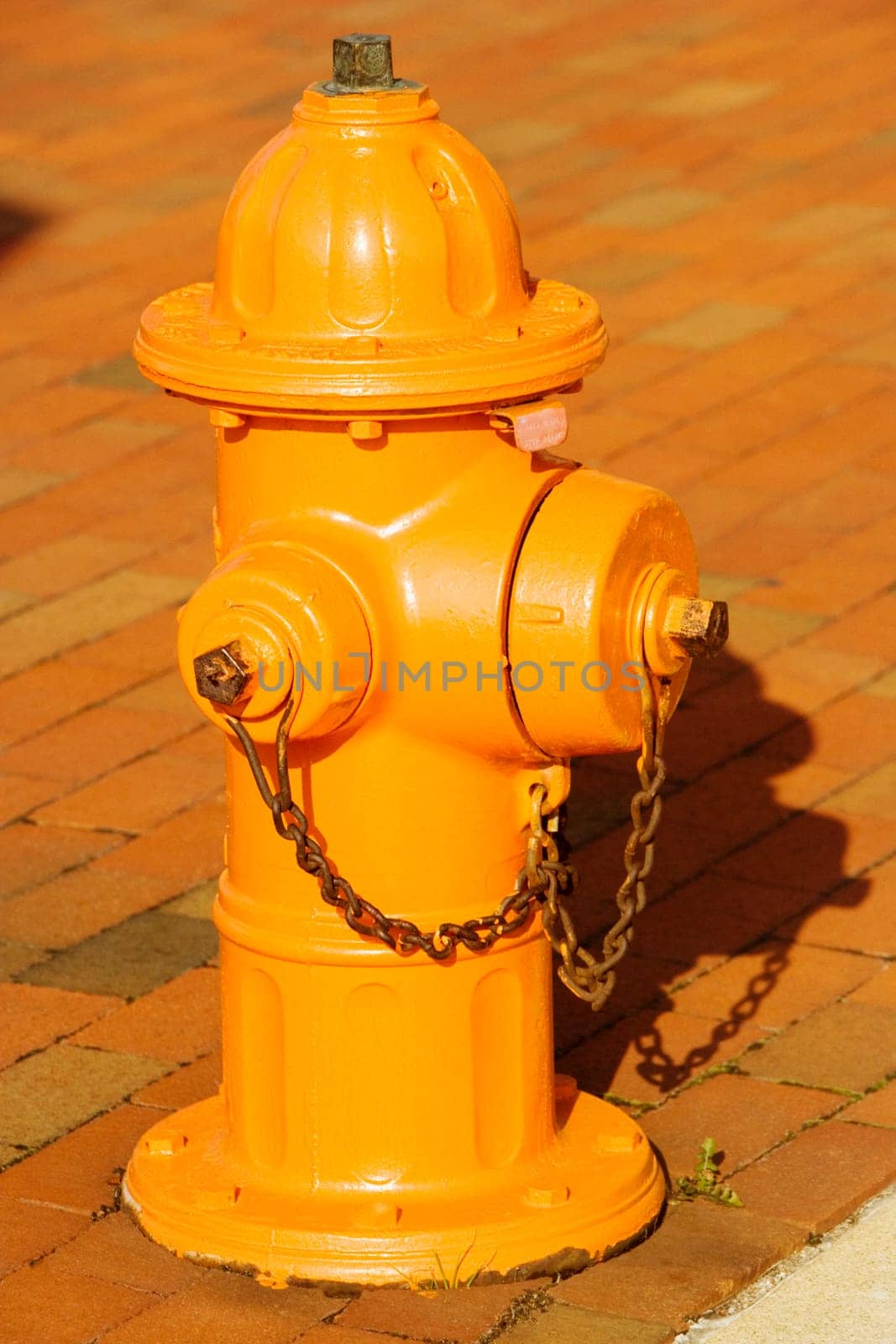 Close-up of a fire hydrant