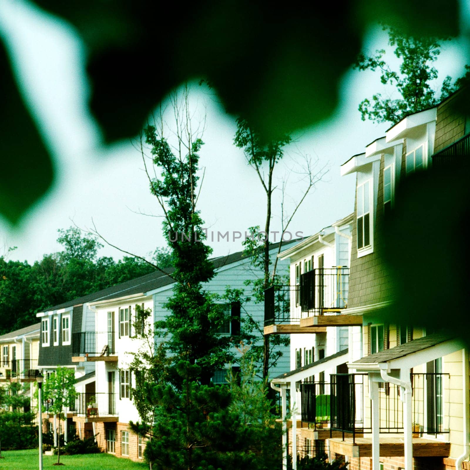 Buildings in a community