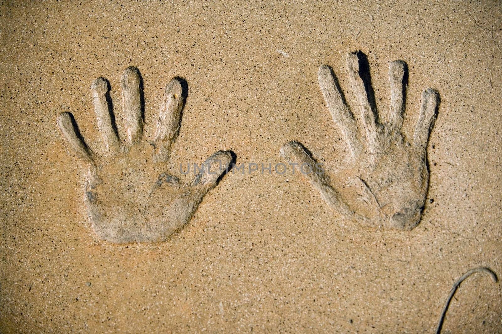 Close-up of handprints in cement at a theater, MannŽs Chinese Theater, Los Angeles, California, USA
