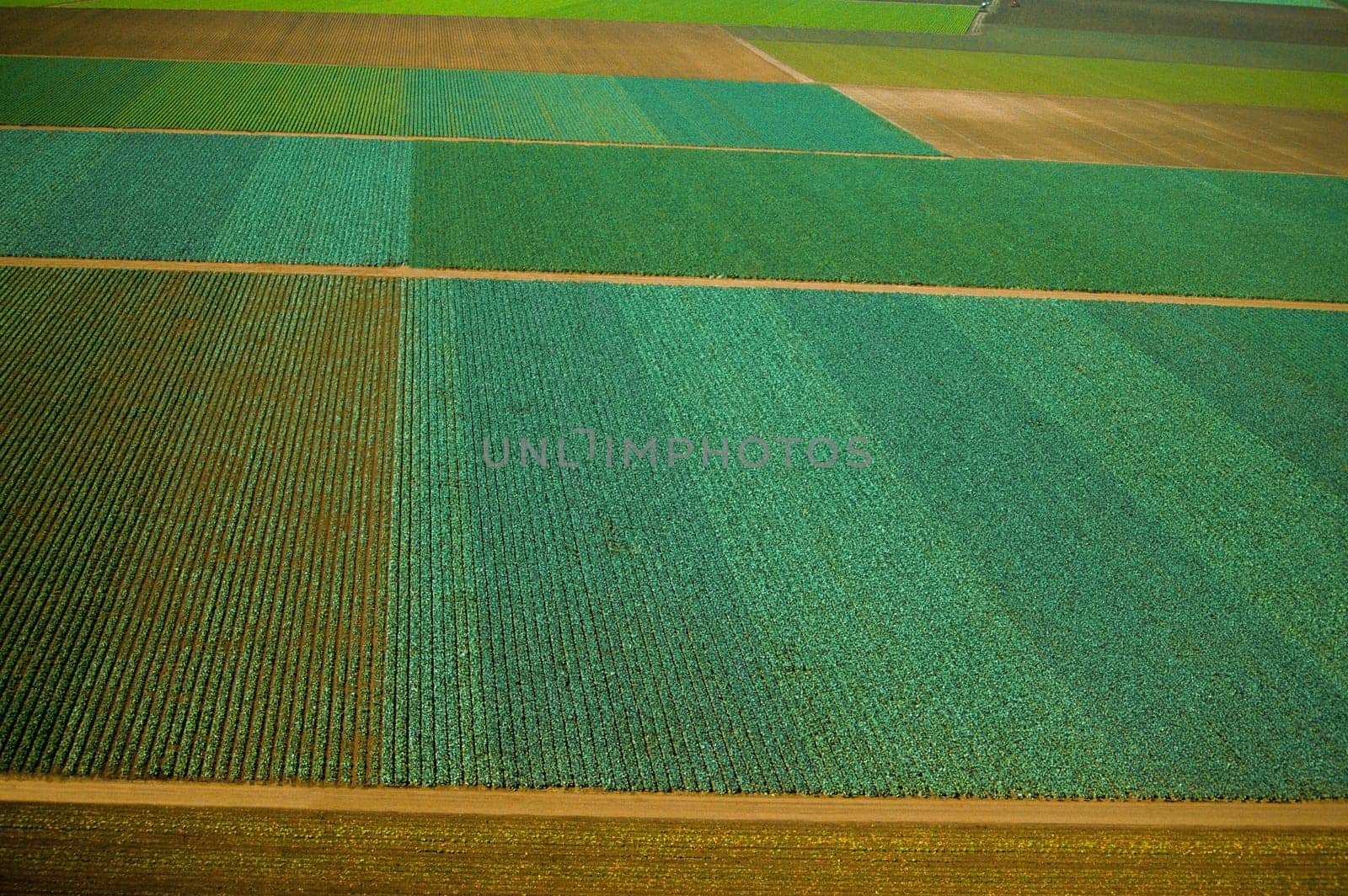 Aerial of farm fields