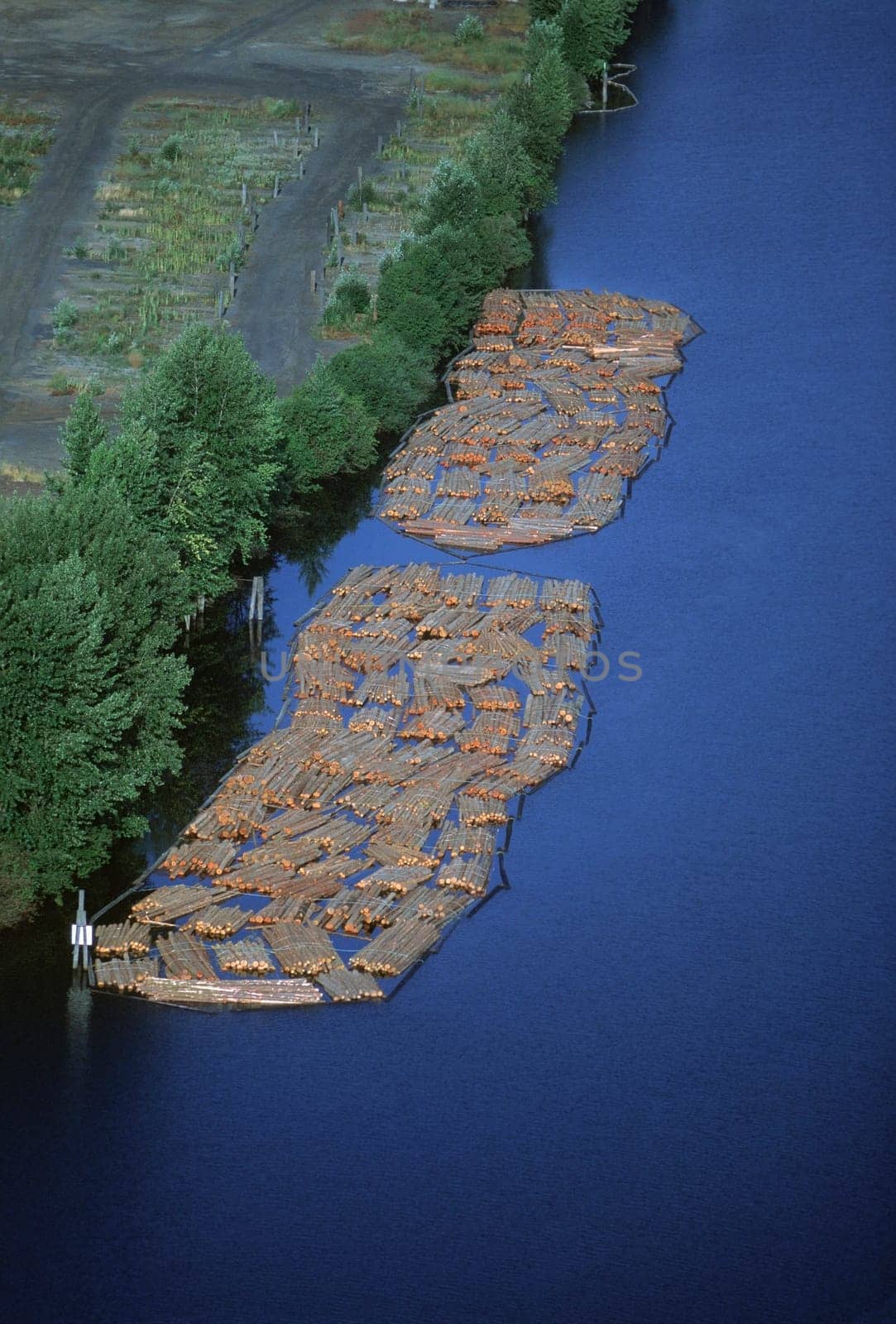 Log rafts flowing to a sawmill, Idaho