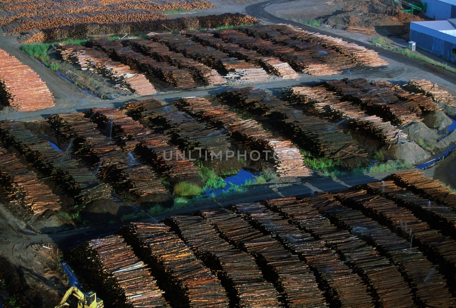Large commercial sawmill, Idaho, USA