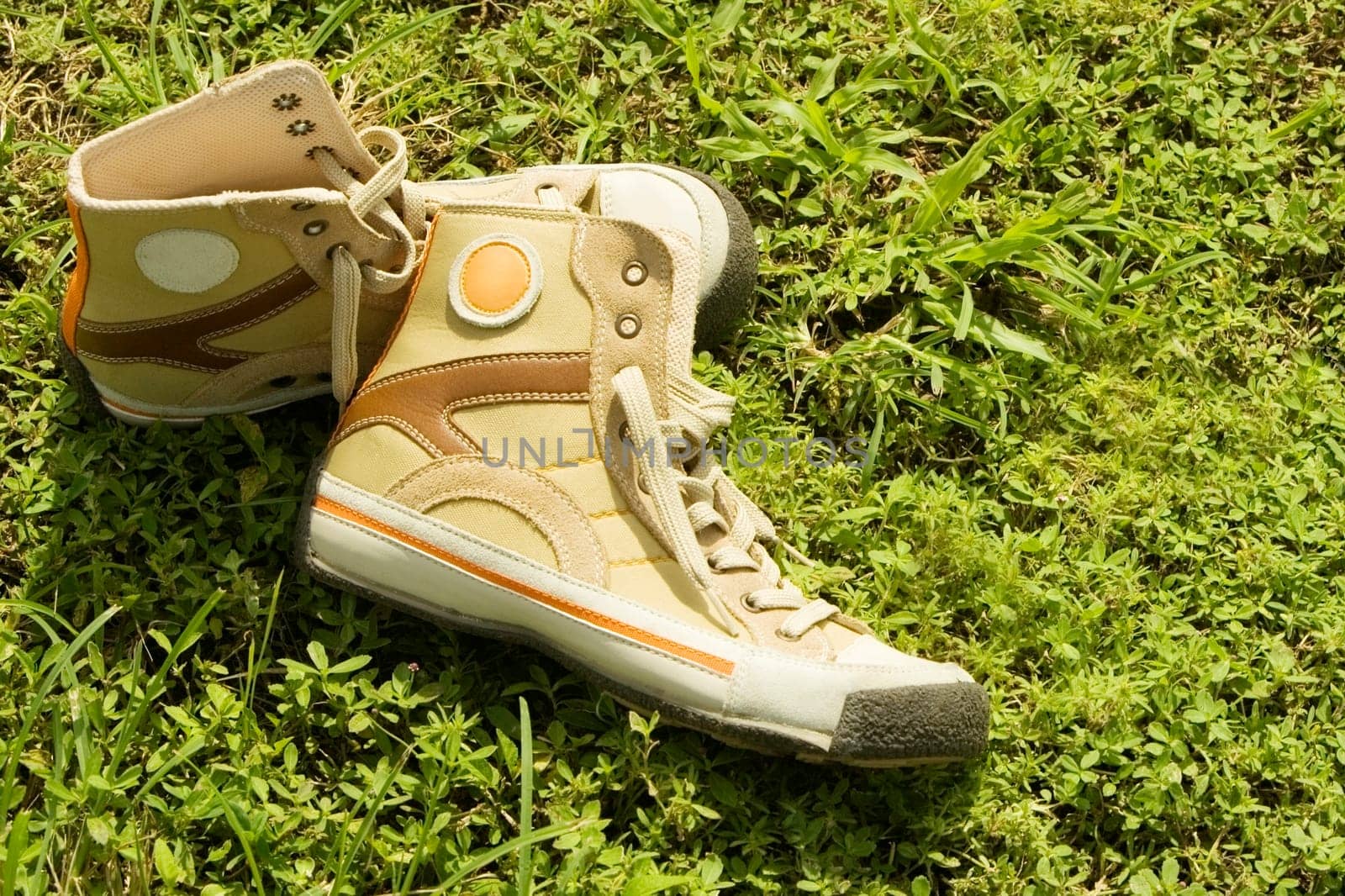 High angle view of a pair of shoes on the grass