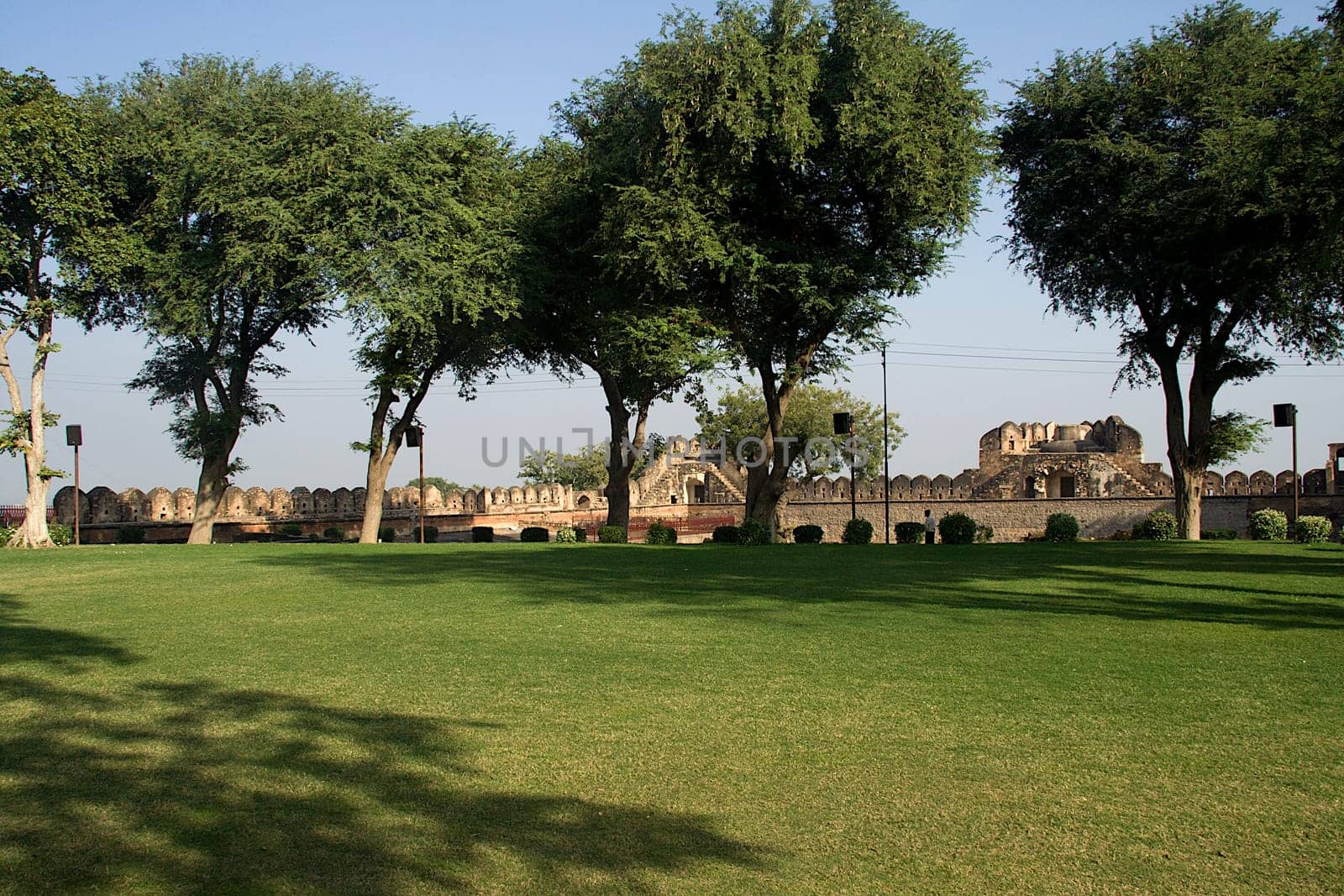 View of spacious, trimmed grass turf and lofty trees inside fort at Jhansi in Uttar Pradesh, India, Asia