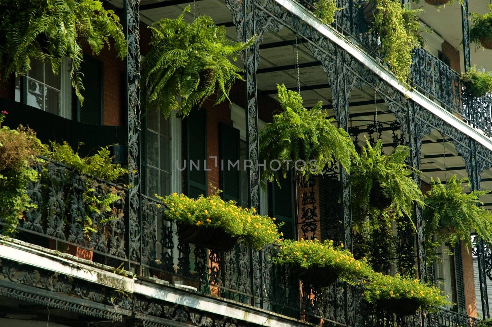 Low angle view of hanging baskets on a building, New Orleans, Louisiana, USA