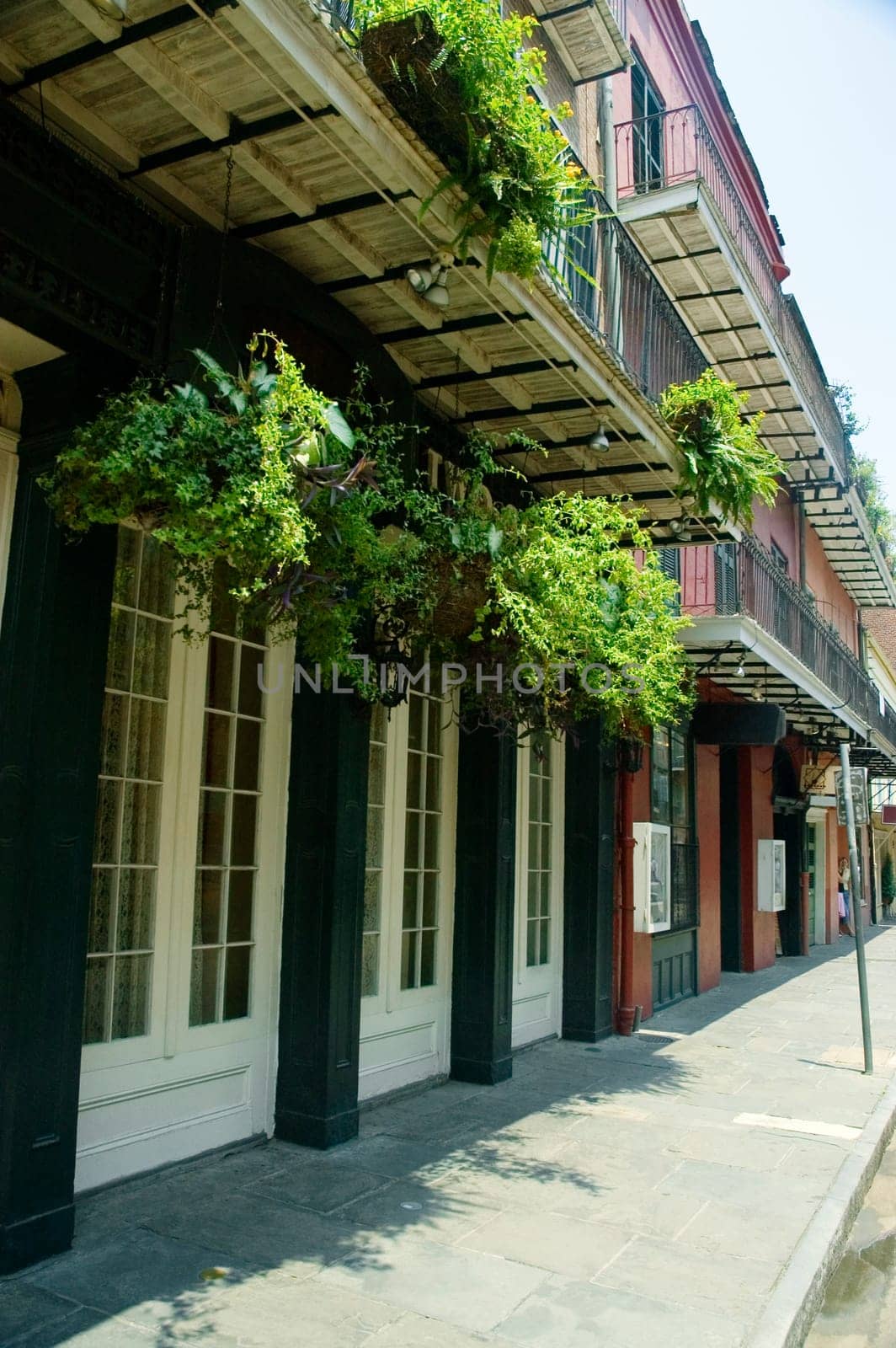 Hanging baskets on a building, New Orleans, Louisiana, USA