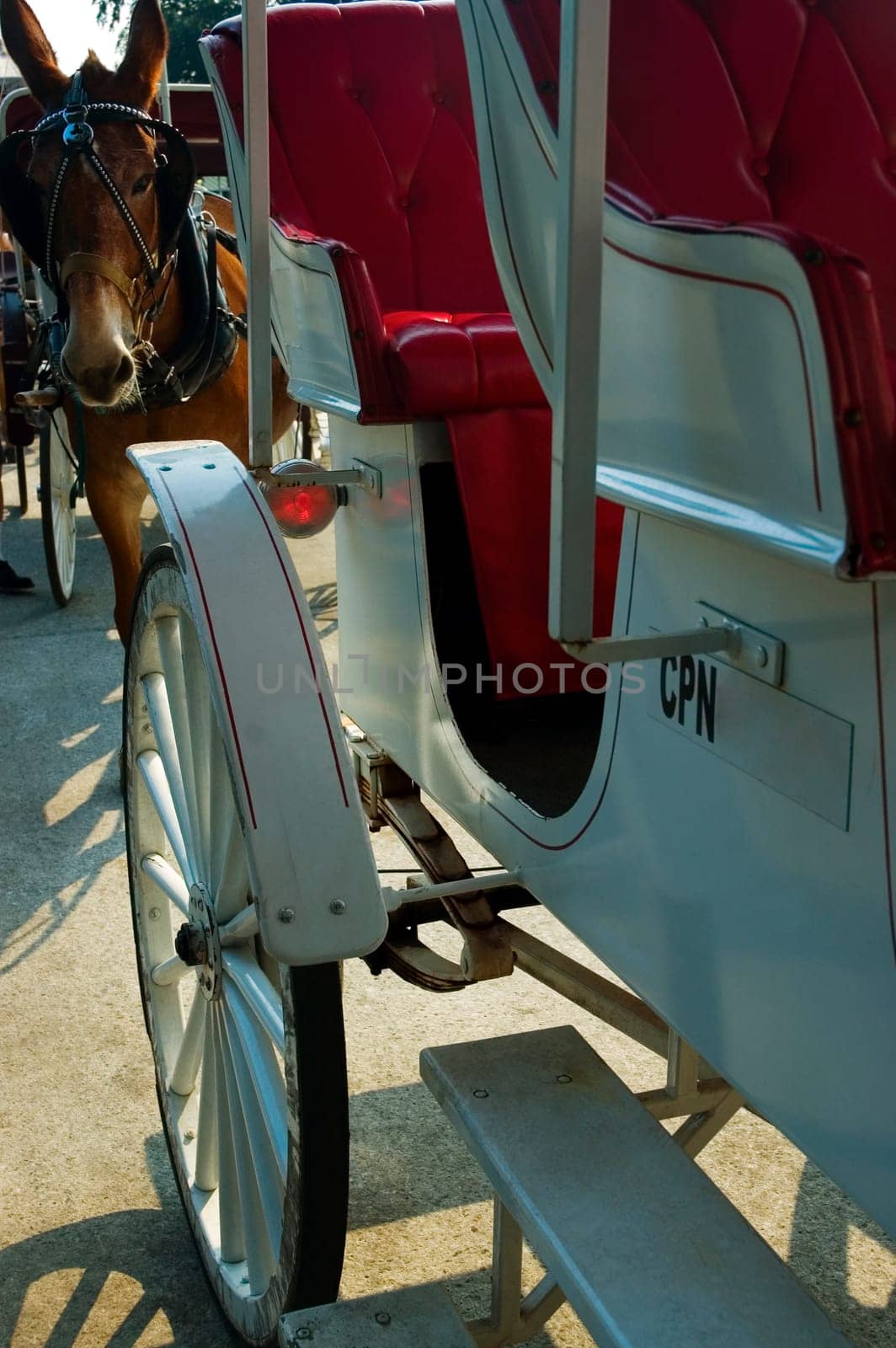 Close-up of a horse cart, New Orleans, Louisiana, USA
