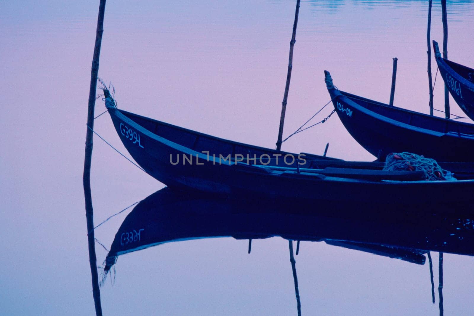 Fishing boats moored in a row, Valenca, Portugal