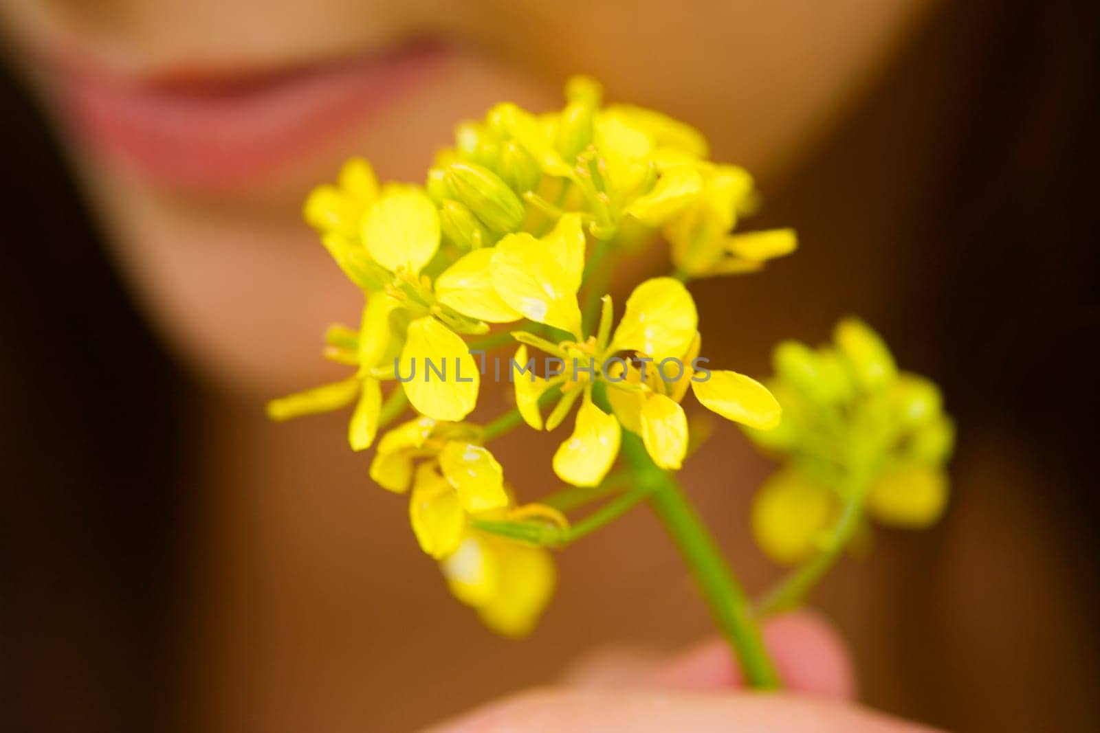 Close-up of a young woman holding flowers