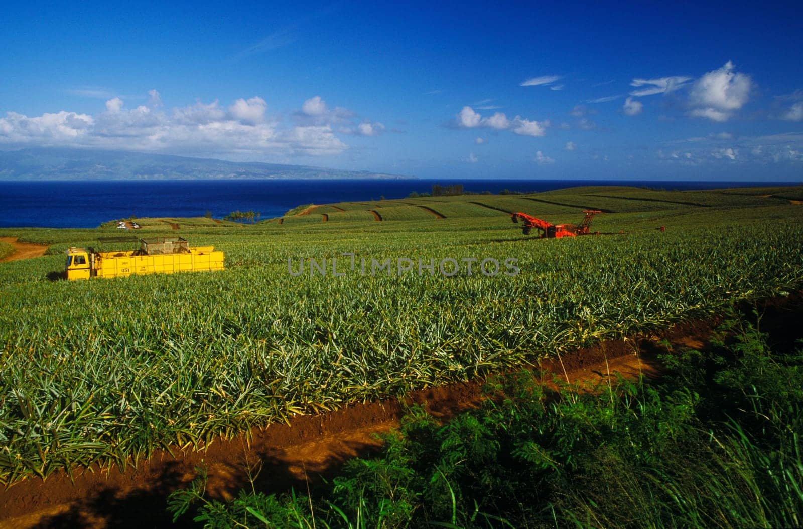 Truck in field, Hawaii, USA