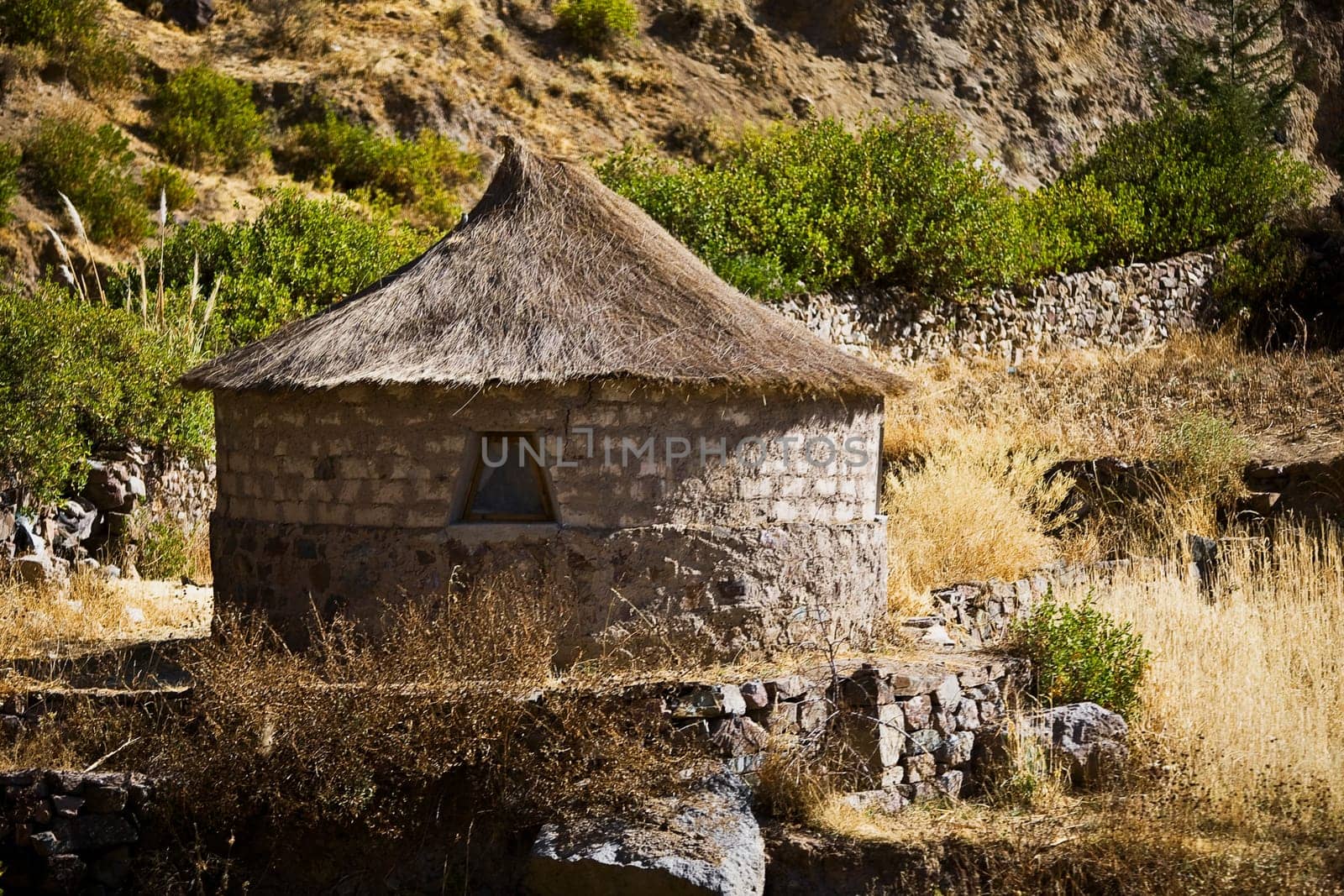 Thatched roof hut on a mountain, Chivay, Arequipa, Peru