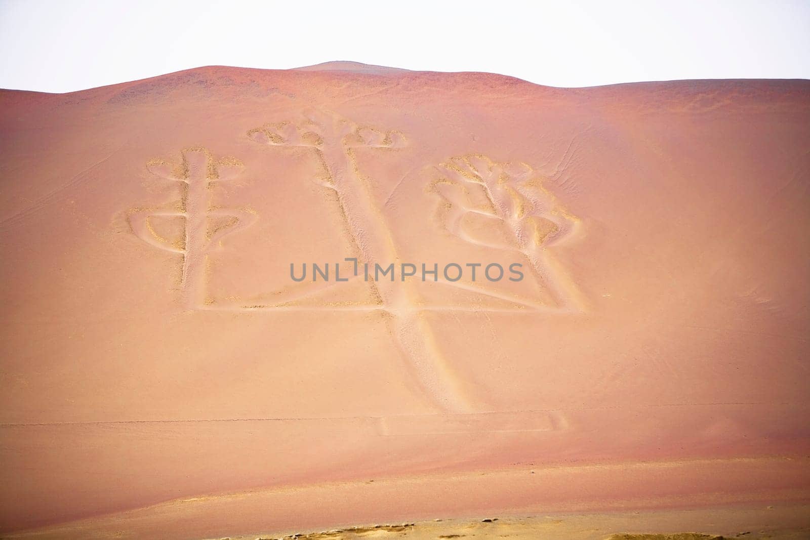 Paracas