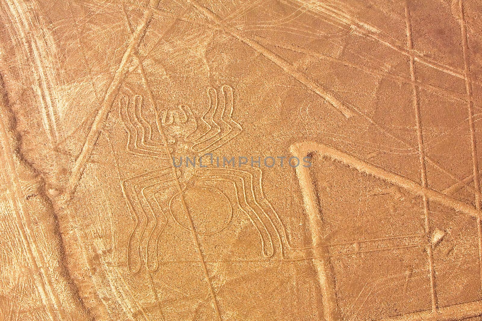 Aerial view of Nazca lines representing a spider, Nazca, Peru