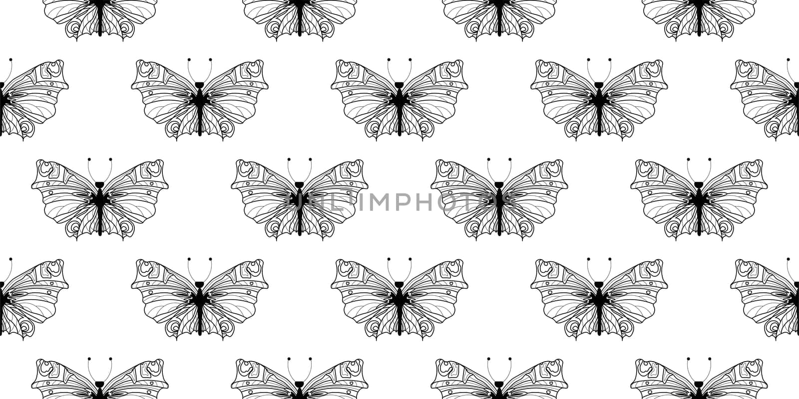 Abstract modern butterfly style for wallpaper design. Trendy japanese banner with black modern butterfly style