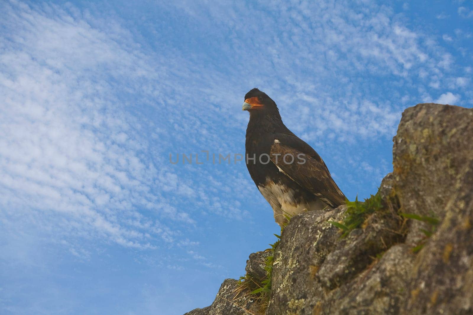 Macchupicchu