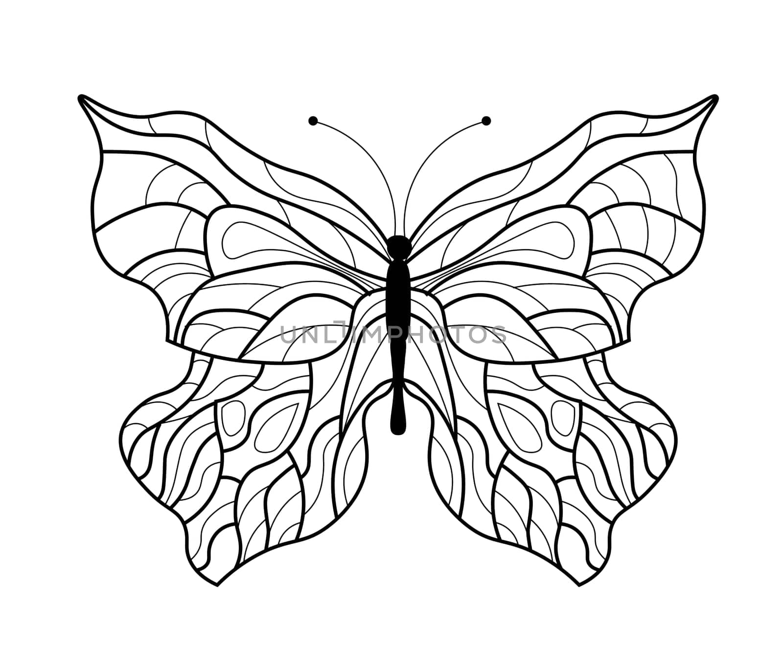 Butterfly coloring book. Linear drawing of a butterfly.