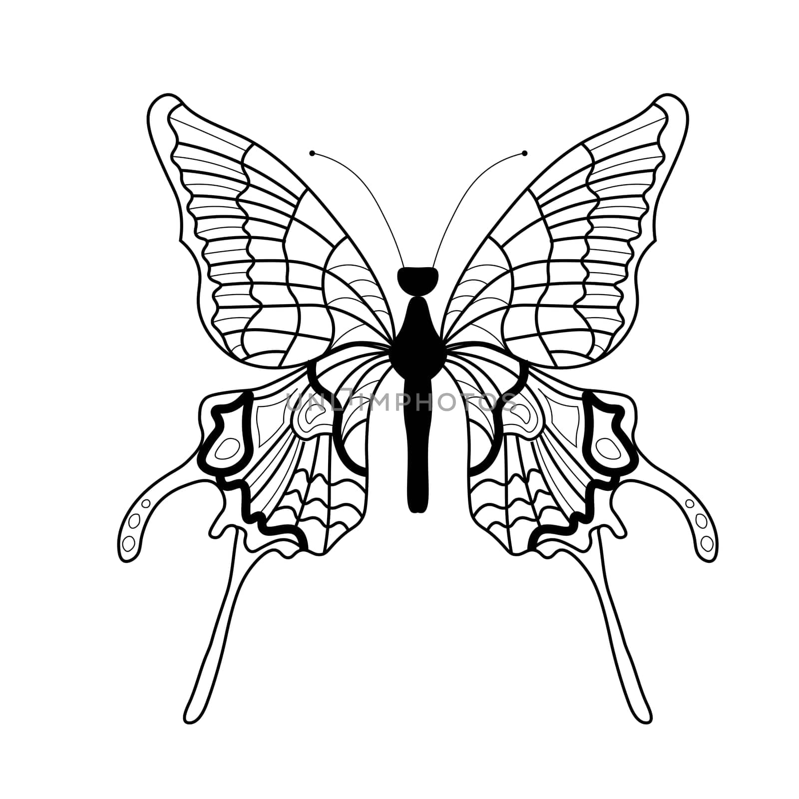 Butterfly coloring book. Linear drawing of a butterfly.