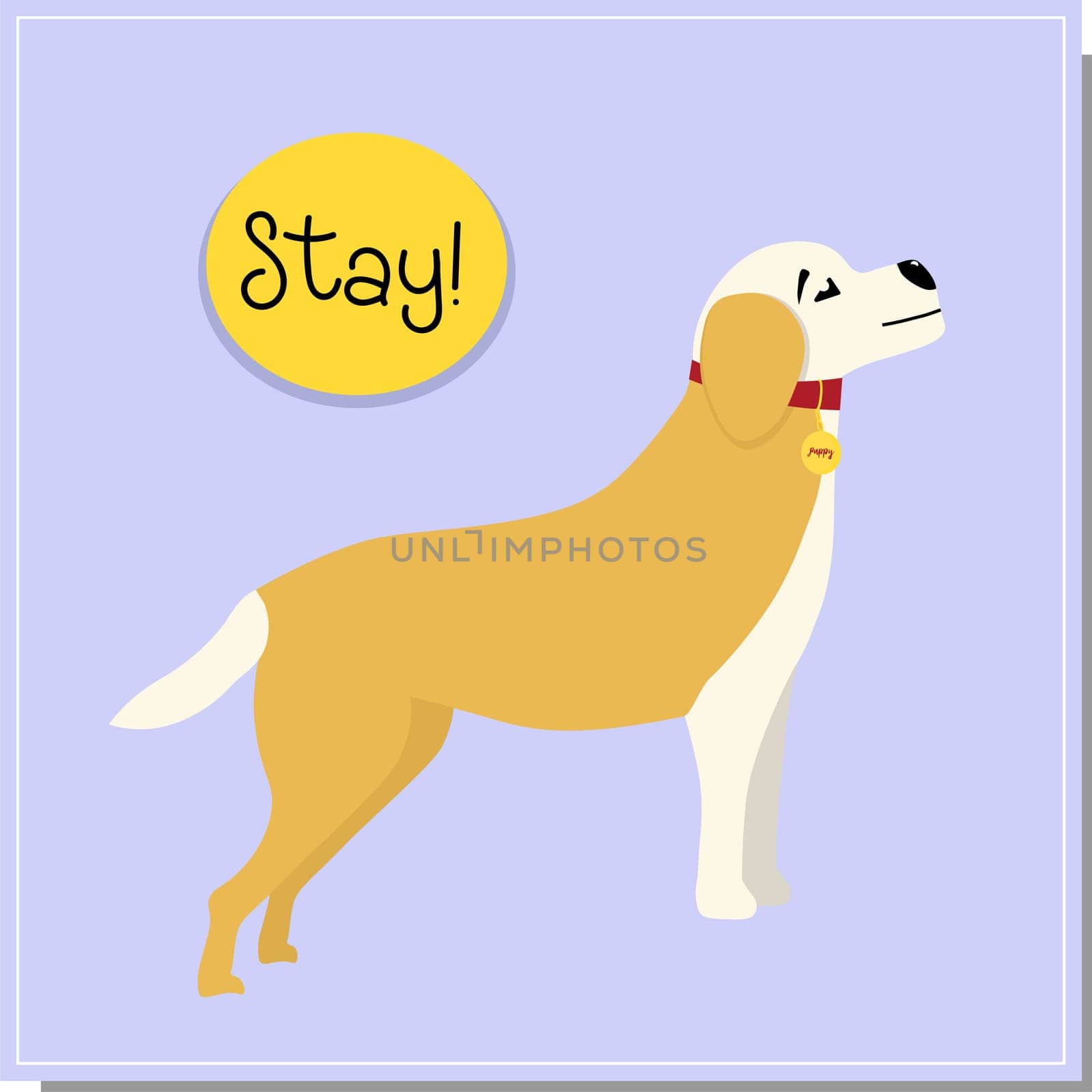 DOG training, command to stand. Beautiful dog training, great design for any purpose. Colleagues work together