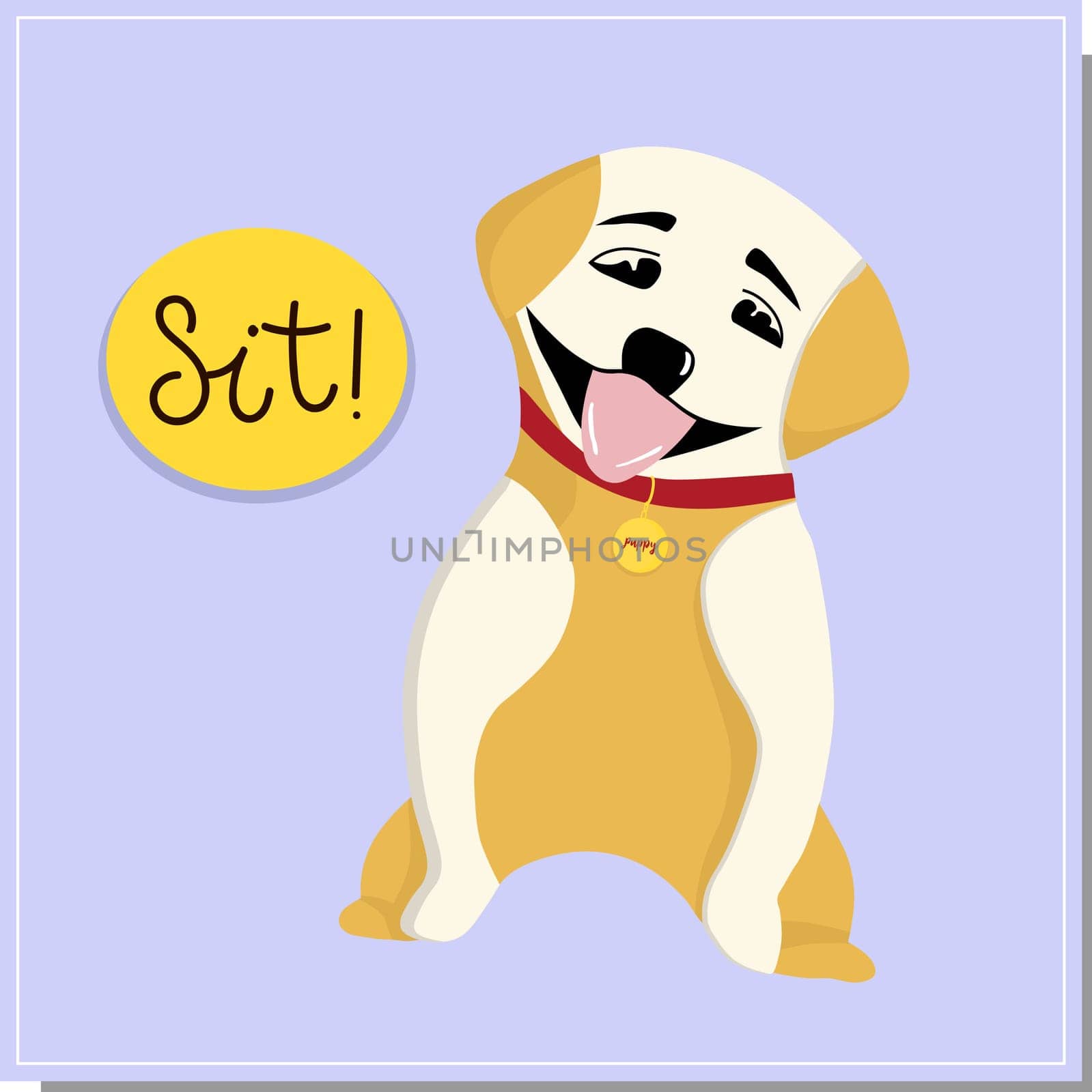 DOG training, command sit. Beautiful dog training, great design for any purpose. Colleagues work together. Beautiful illustration with training a red dog. Vector background. Illustration icon. Sports background.