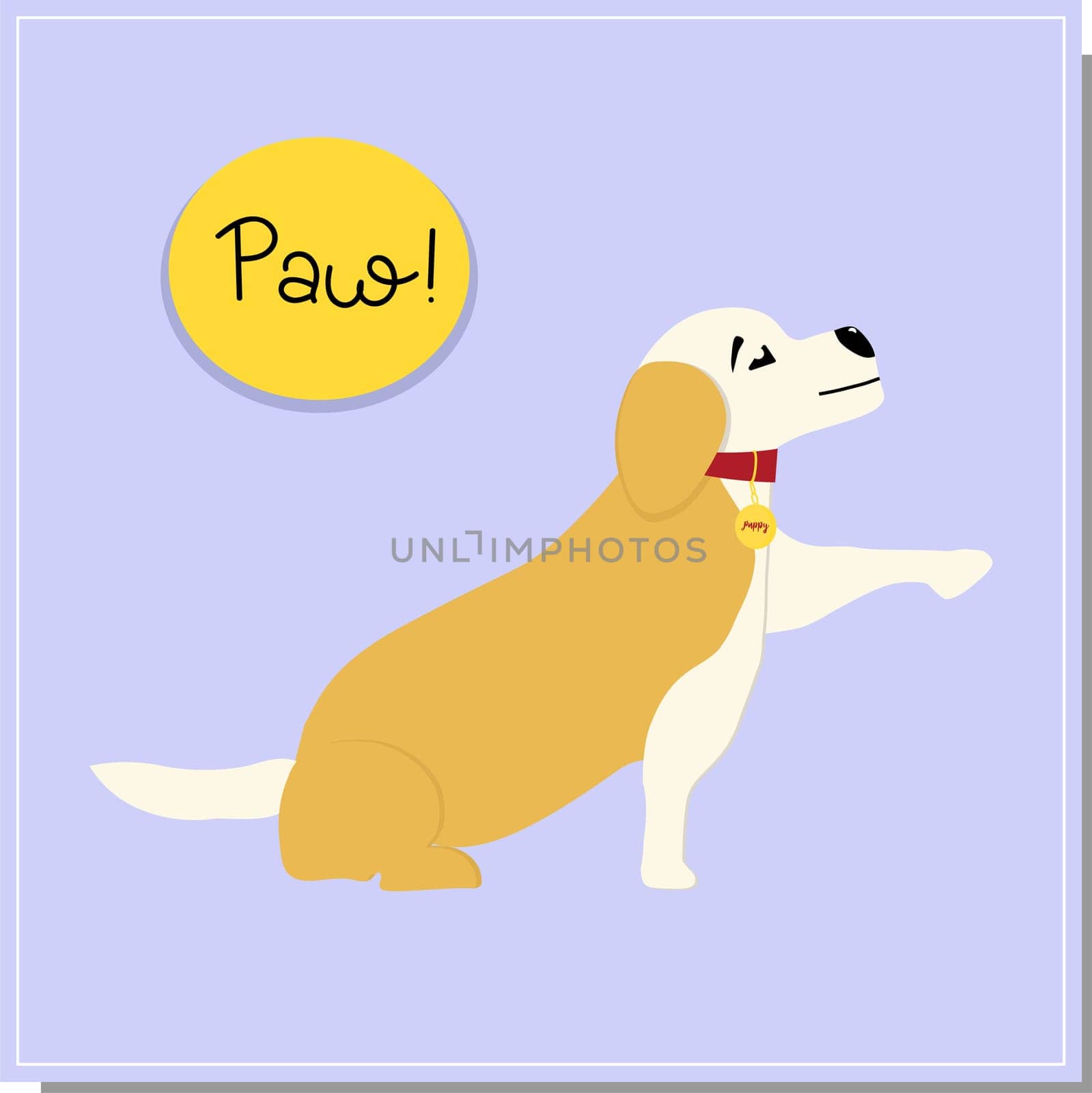 DOG training, the dog gives a paw. team.Beautiful dog training, great design for any purposes. Colleagues work together