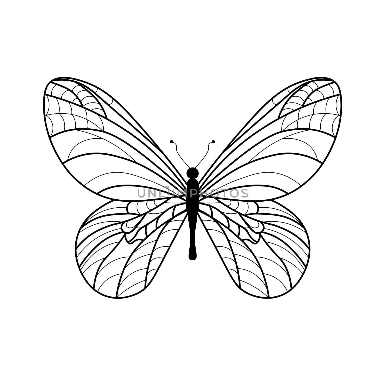 Butterfly coloring book. Linear drawing of a butterfly.