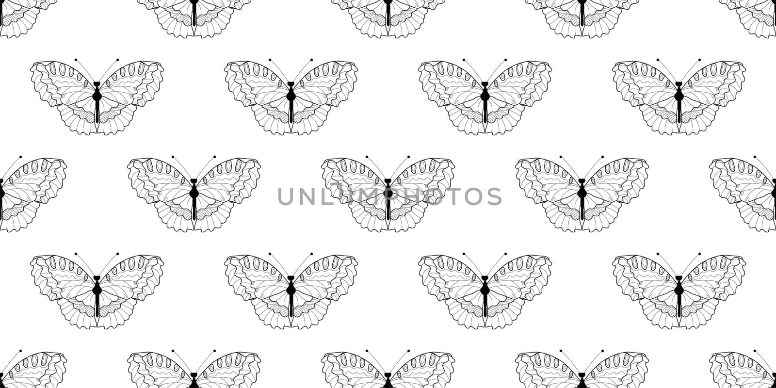 Abstract modern butterfly style for wallpaper design. Trendy japanese banner with black modern butterfly style