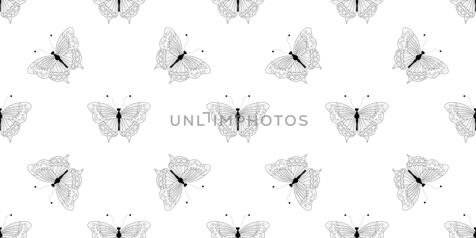 Abstract modern butterfly style for wallpaper design. Trendy japanese banner with black modern butterfly style