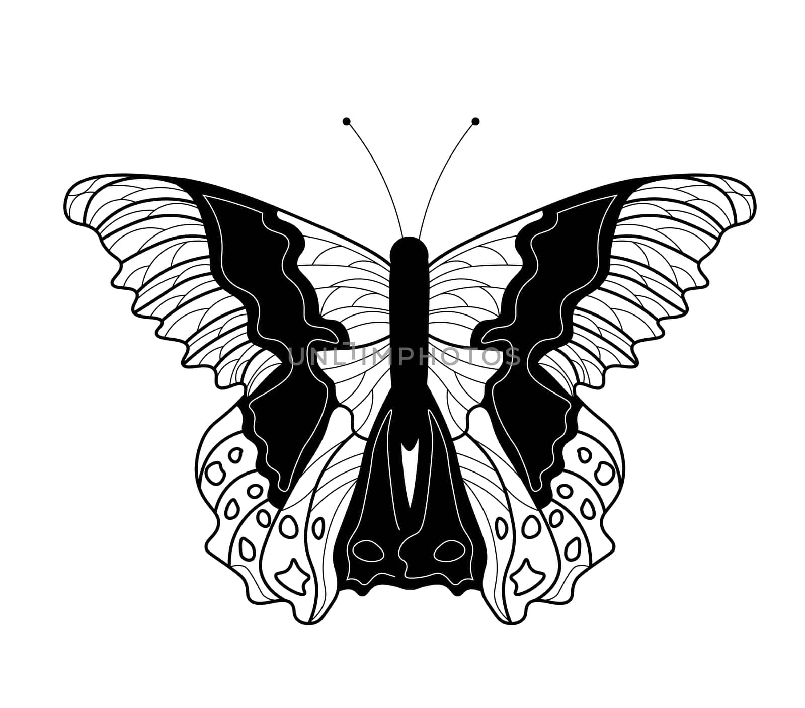 Butterfly coloring book. Linear drawing of a butterfly.