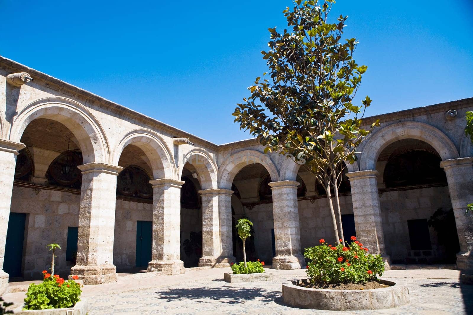 Low angle view of a tree in the courtyard of a building, Santa Catalina Convent, Arequipa, Peru