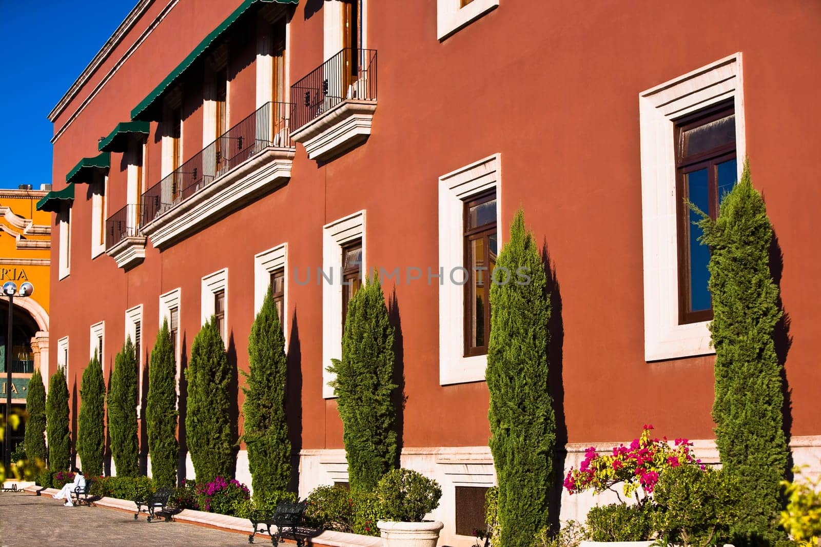 Trees in front of a government building, Palacio De Gobierno, Aguascalientes, Mexico