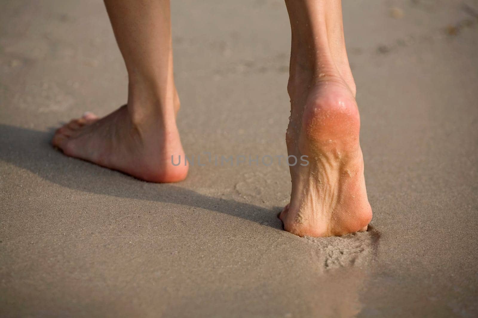 Low section view of a person walking on the beach