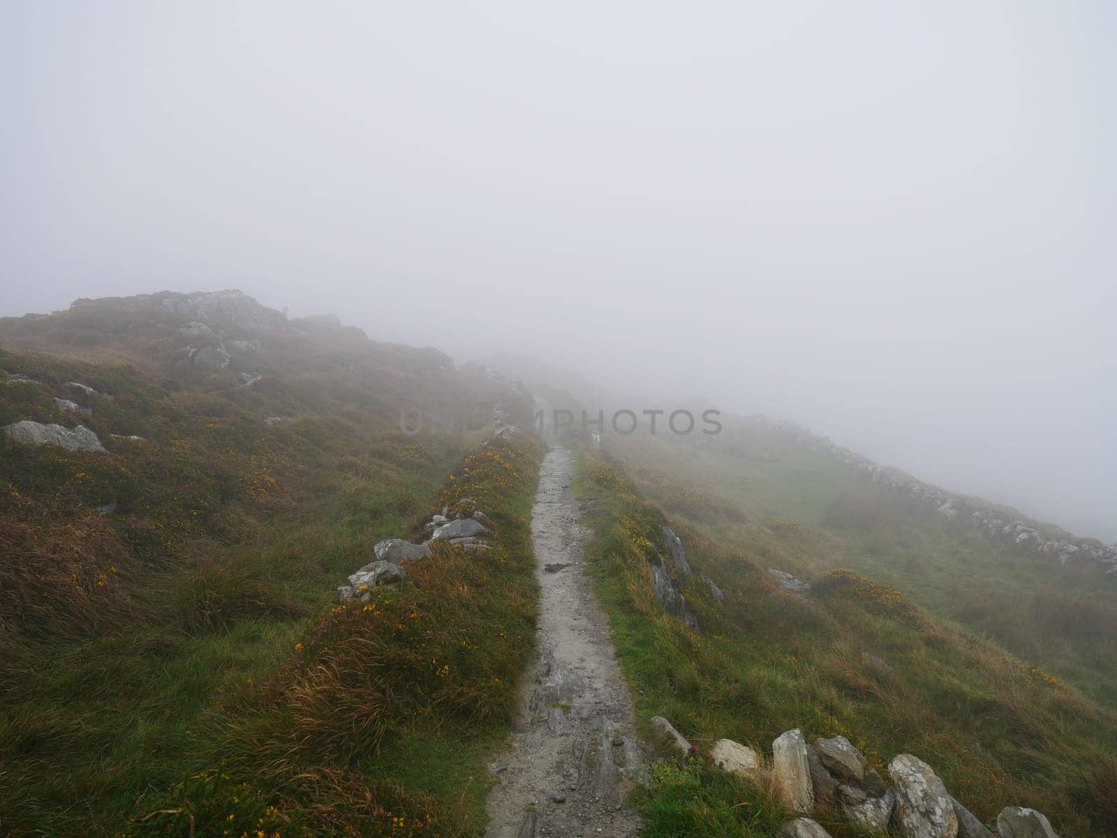 A stony path in the fog leads Ireland into an uncertain future in Europe.