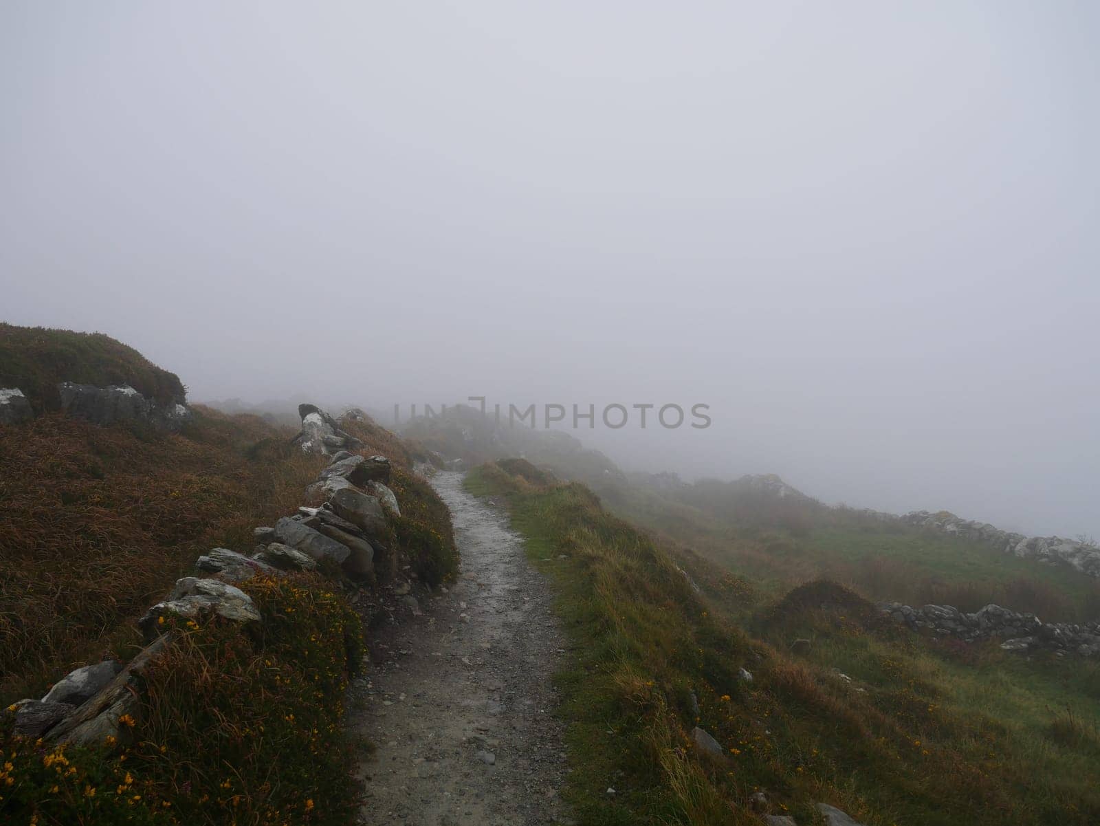A stony path in the fog leads Ireland into an uncertain future in Europe.