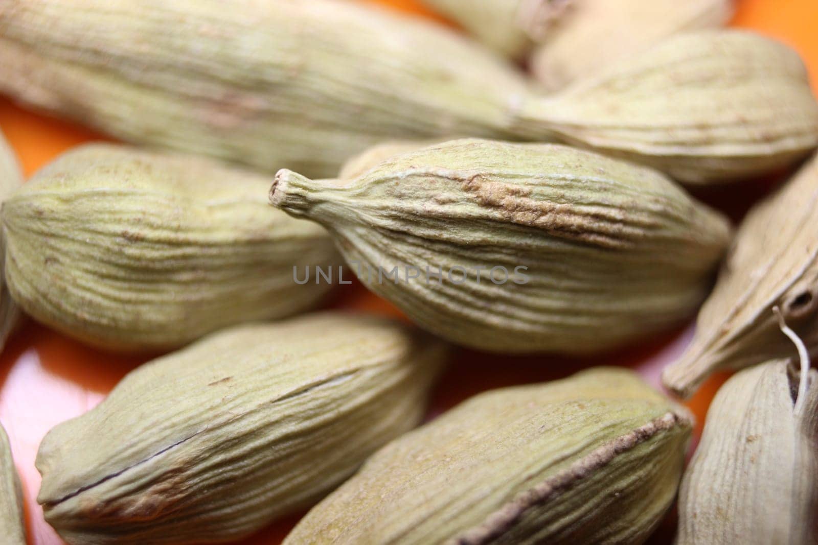 Closeup top view of dried green Elettaria cardamomum fruits with seeds, cardamom spice scattered on white background