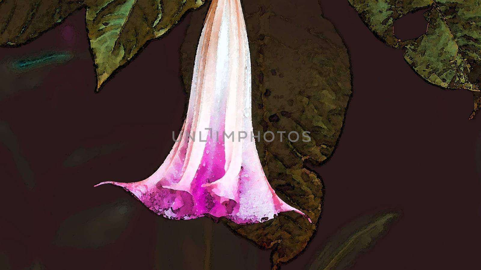 Water Color style image illustration Close up of pink flower with rain drops on petals .dark green background