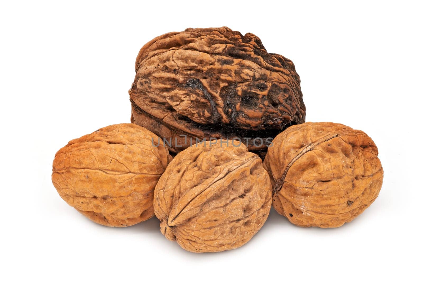 Walnut Close Up, studio shot of fruit on white background