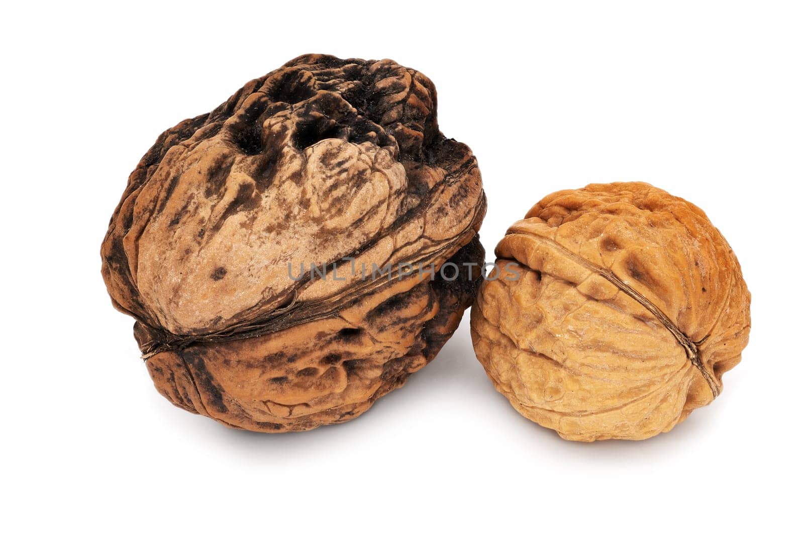 Walnut Close Up, studio shot of fruit on white background