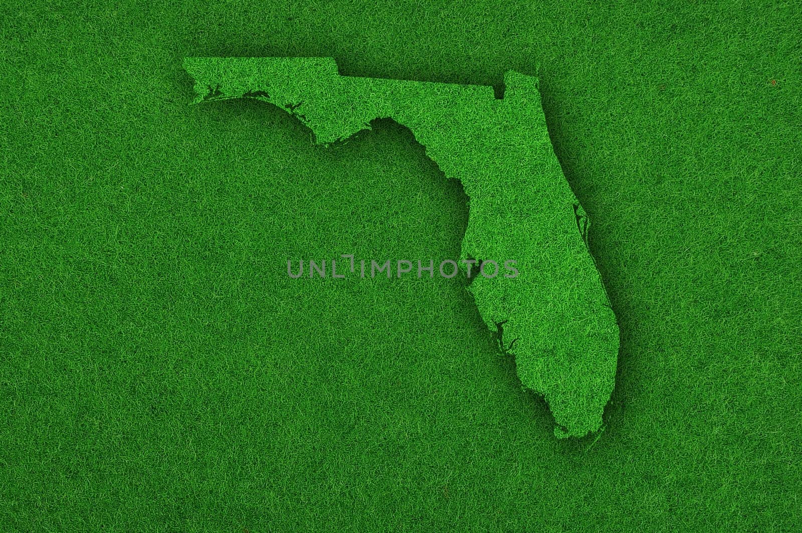 Map of Florida on green felt