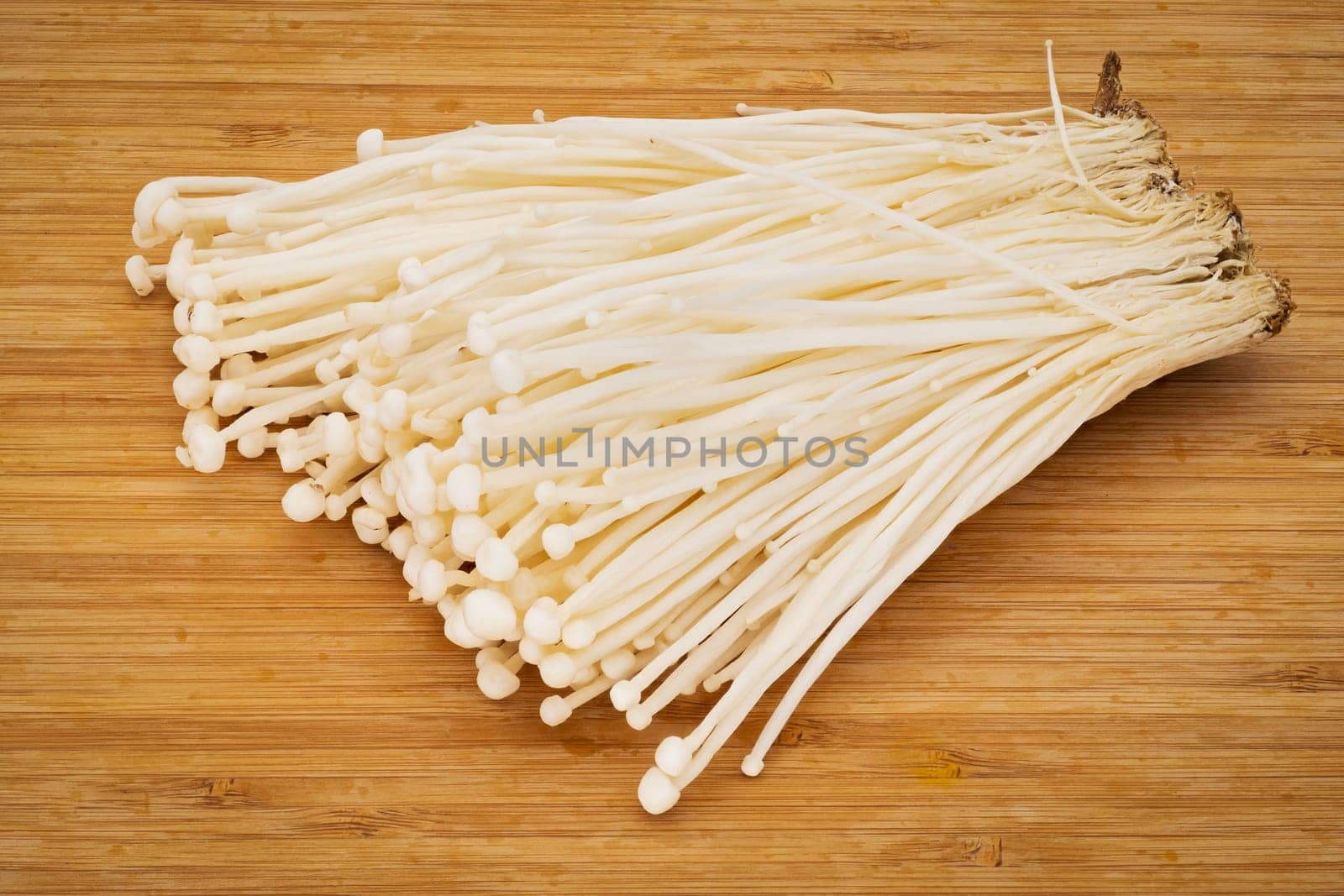 Enoki Mushroom, close up and studio shot of fungus