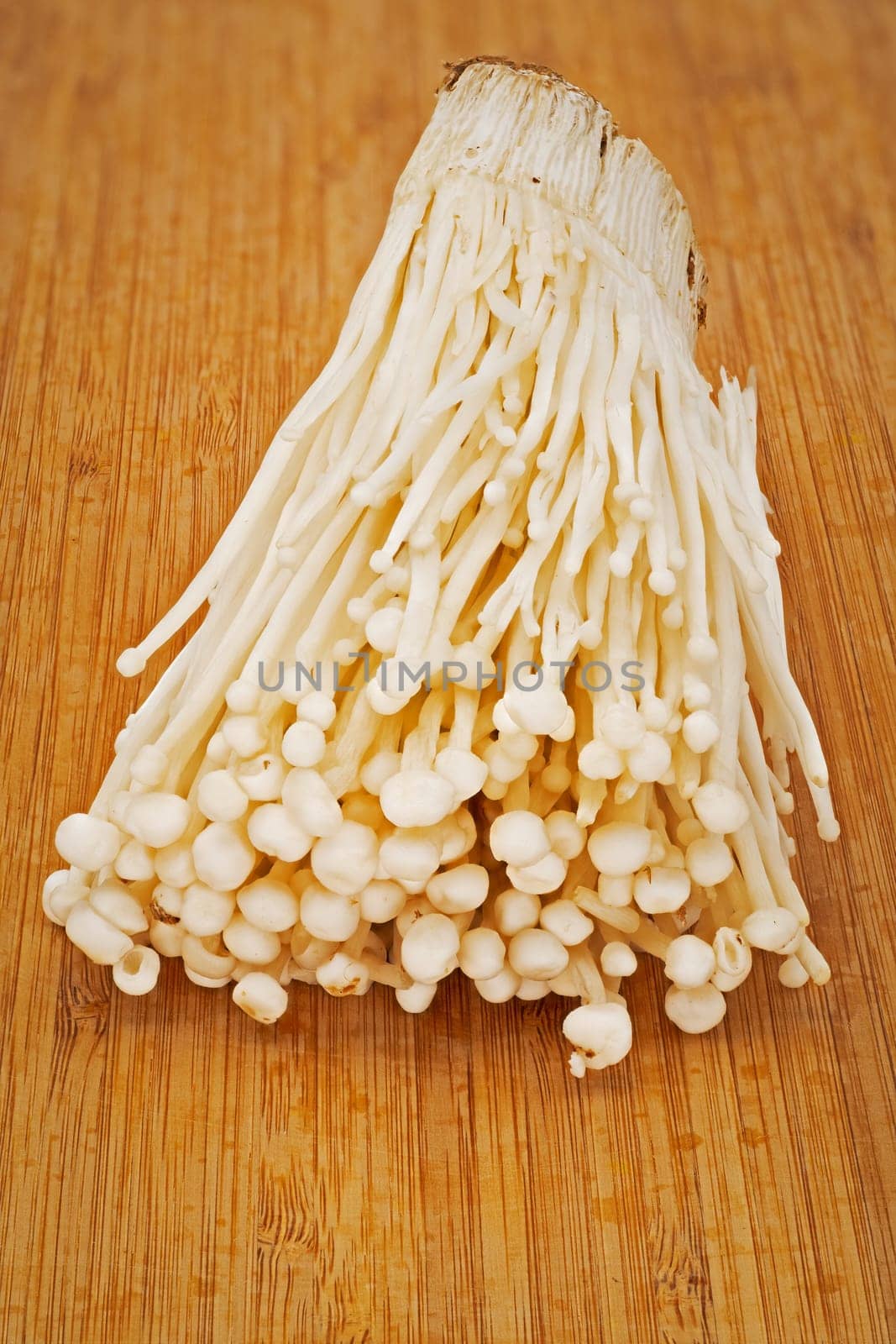 Enoki Mushroom, close up and studio shot of fungus