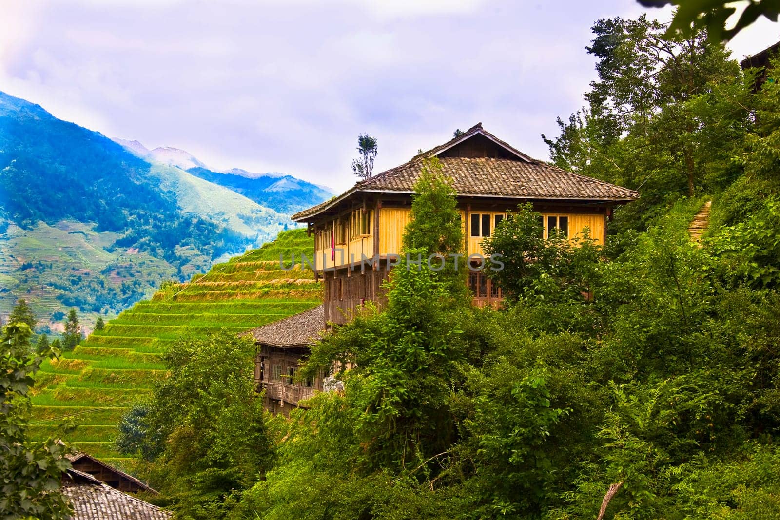 Jinkeng Terraced Field, Guangxi Province, China