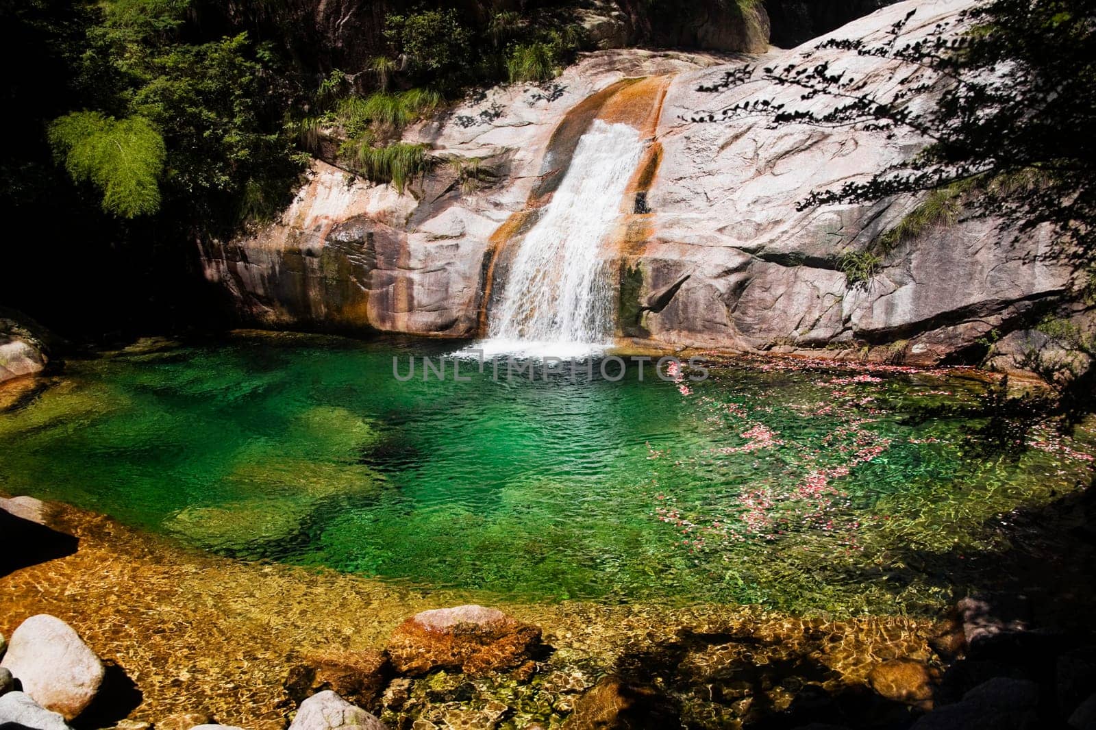 Emerald Valley, Huangshan, Anhui Province, China