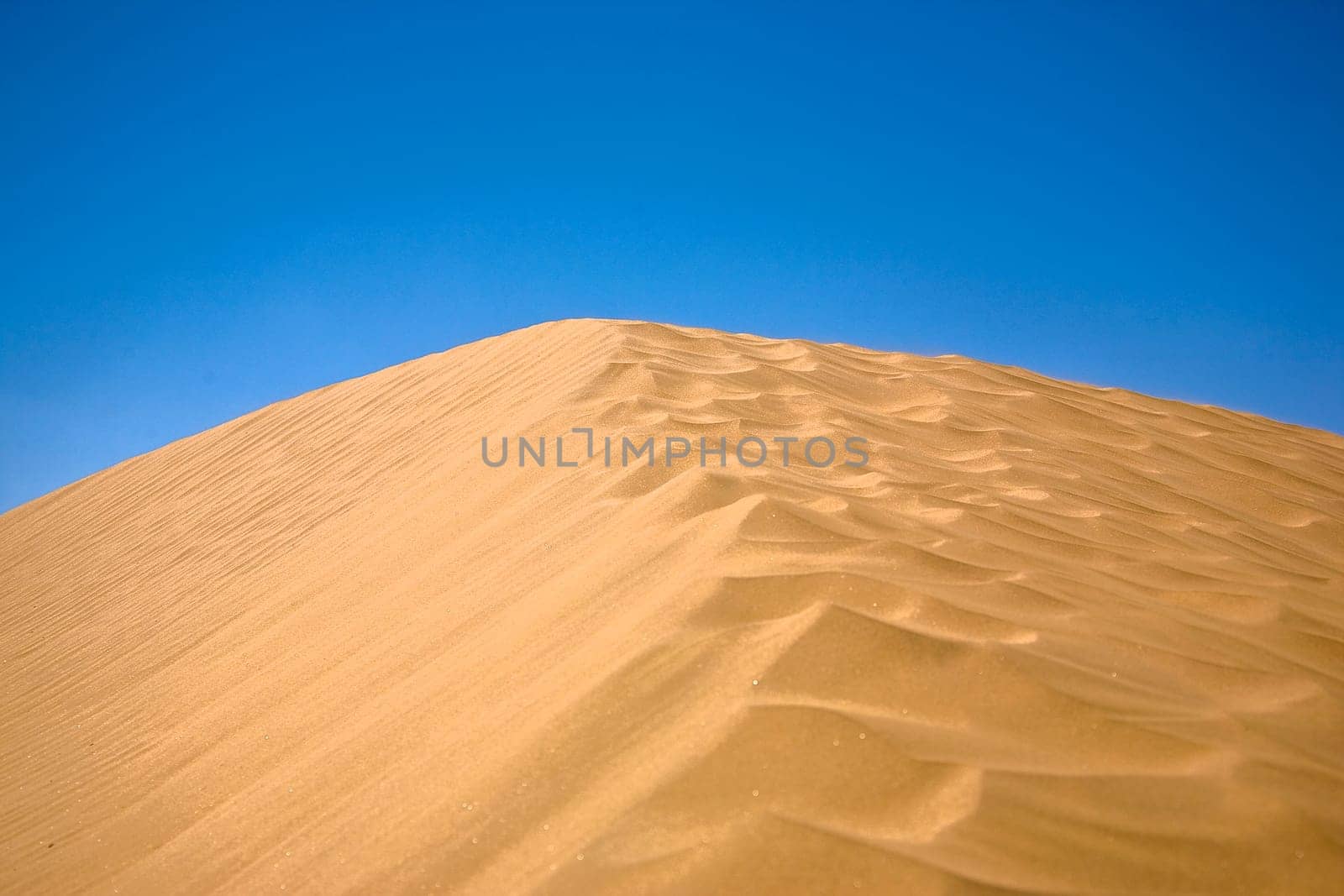Kubuqi Desert, Inner Mongolia, China