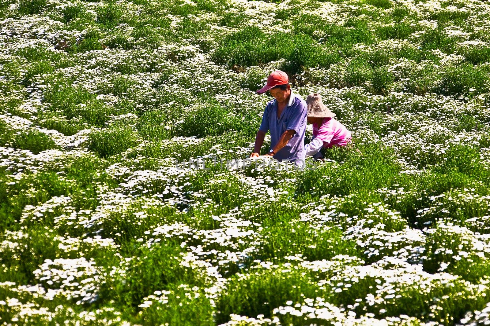 Xidi, Anhui Province, China