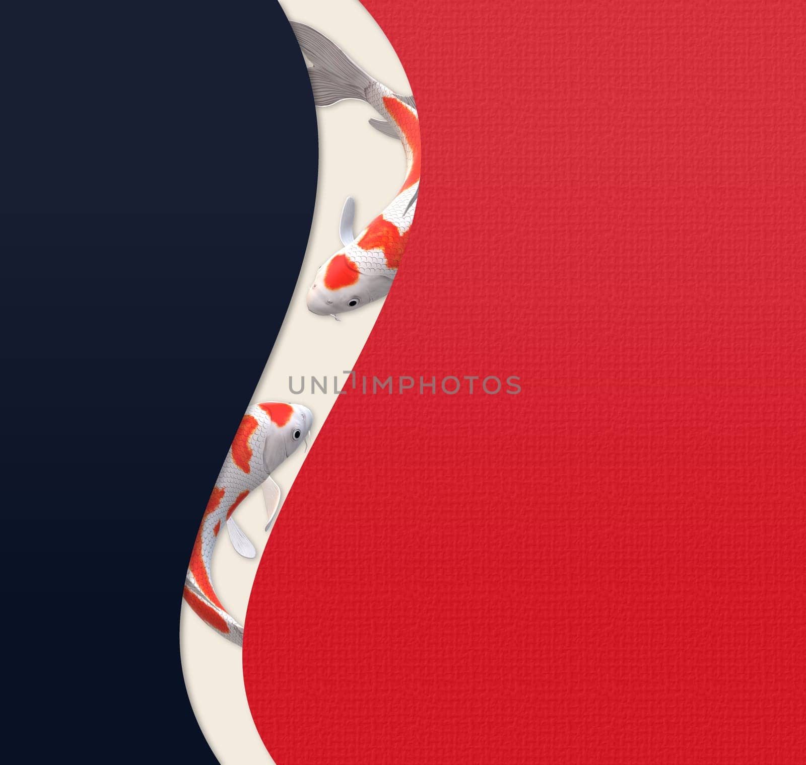 Koi carp fish, oriental style template. Chinese style background with koi carp fishes on red blue curves background. Place for text, mock up 3D illustration