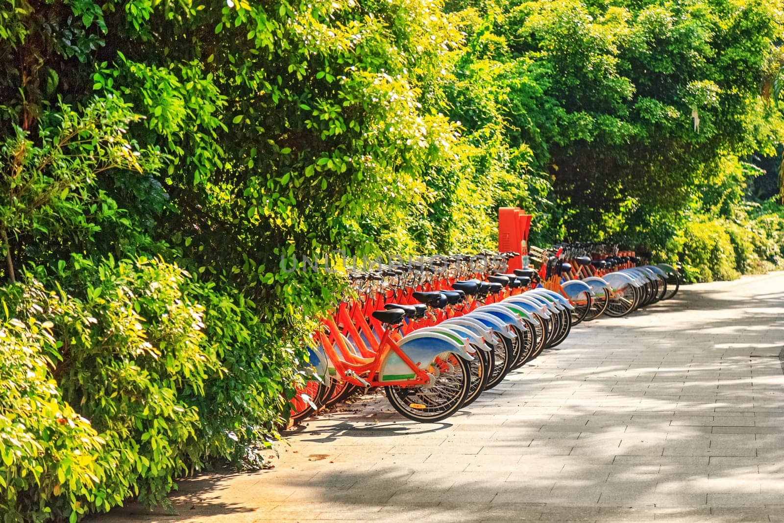 Bicycles stand in a row on a parking for rent, China, Shenzhen, 21.08.2019