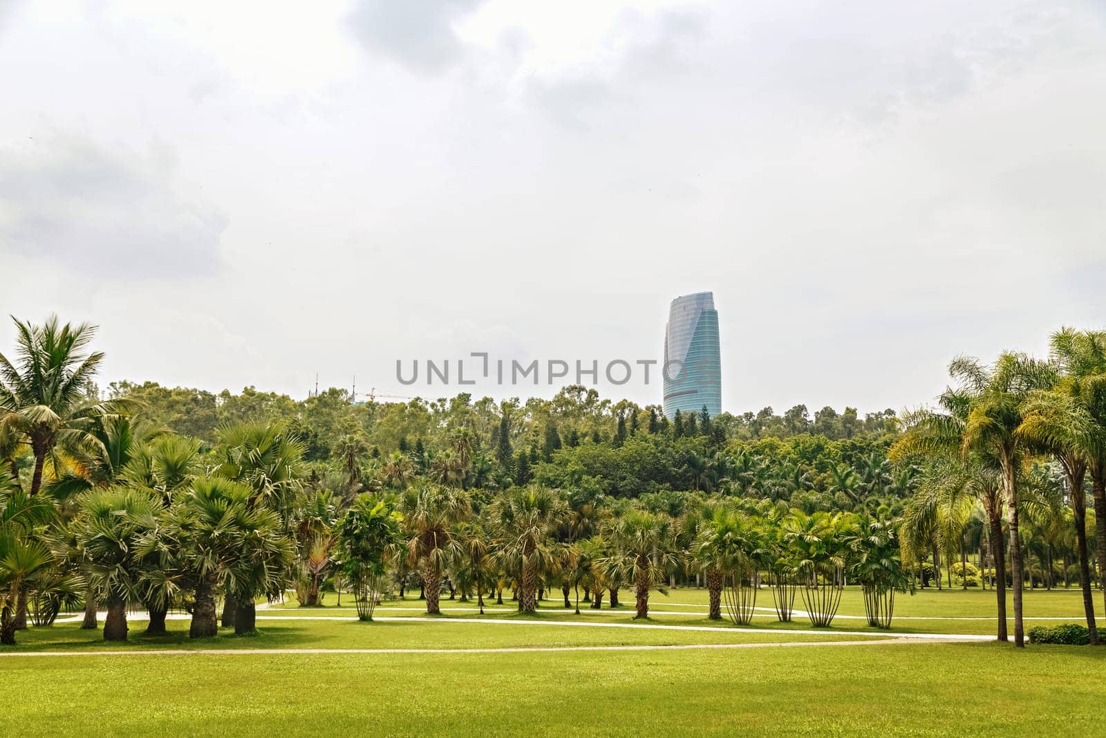 Picturesque tropical park in the center of the metropolis, China, Shenzhen, 22.08.2019