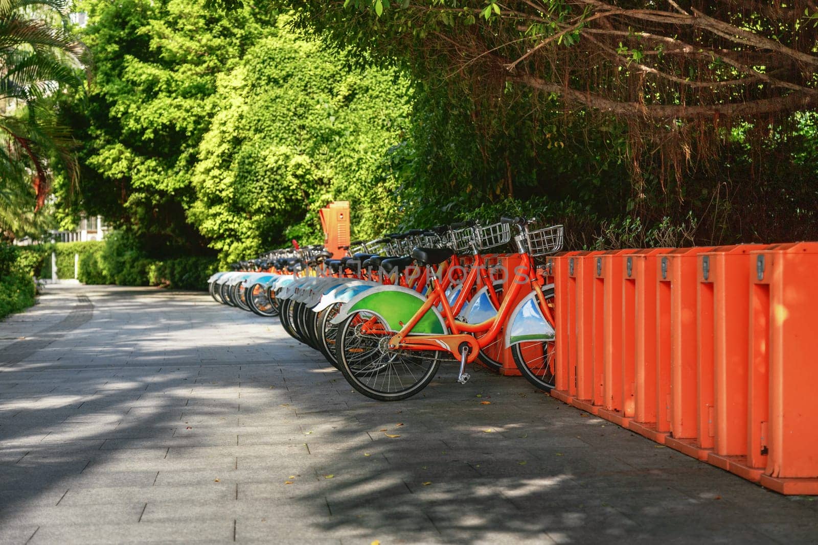 Bicycles stand in a row on a parking for rent, China, Shenzhen, 21.08.2019