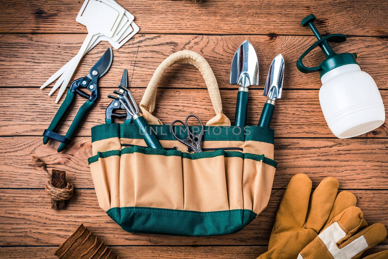 Gardening tools and equipment on wooden background
